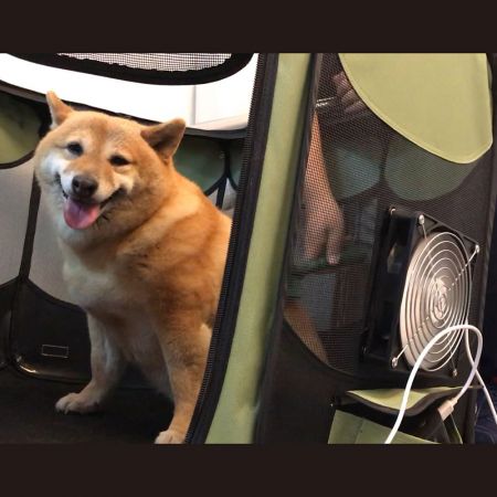 سهلة التهوية للهواء الساخن وتبديد الروائح.