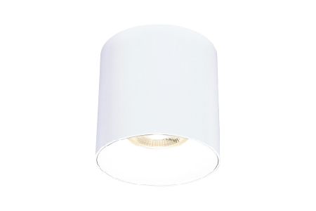 LED Shield Downlight سقف أبيض بزاوية شعاع 36° 30W أبيض طبيعي - LED Shield Downlight سقف أبيض بزاوية شعاع 36° 30W أبيض طبيعي