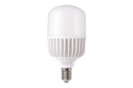 LED Commercial Bulbs E40 75W Daylight - LED Commercial Bulbs E40 75W Daylight