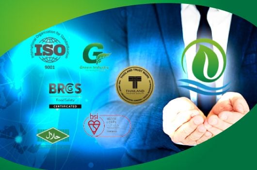 FCF hält stolz internationale Zertifizierungen, einschließlich BRC, ISO 9001, HACCP & GHP und ISO 14001, die höchste Qualität und Lebensmittelsicherheitsstandards gewährleisten. Darüber hinaus ist unsere Fabrik HALAL-zertifiziert und erfüllt die globalen Marktanforderungen mit Exzellenz.