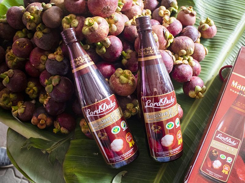 Оптовое производство ингредиента для здоровья - порошка мангостина, концентрата сока мангостина и региона из Таиланда.