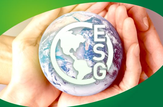 FCF se dedica a mantener la sostenibilidad ambiental.