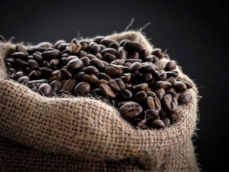Fournitures de grains de café en gros