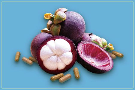 Cápsulas vegetarianas al por mayor de suplementos de mangostán - Apoyo a la memoria cerebral con xantonas ricas en polvo de mangostán extraídas de la cáscara de mangostán.