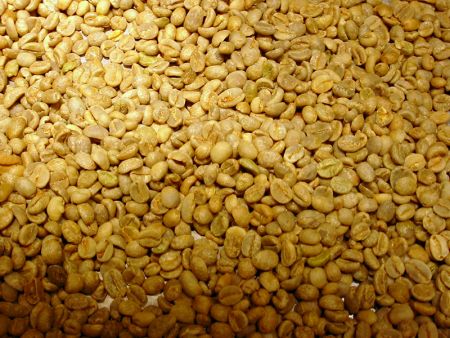 Оптовые зерна арабики