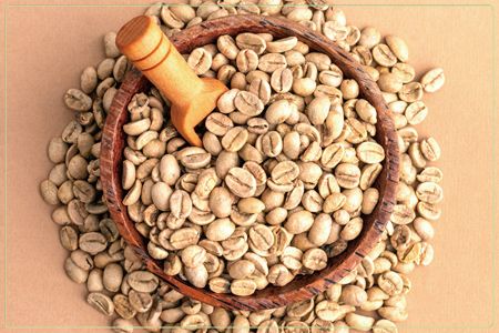 Grossist Arabica kaffebönor - Bulkgröna kaffebönor av hög kvalitet från Thailand.