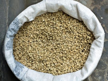 Green coffee beans packed in sack for wholesale.