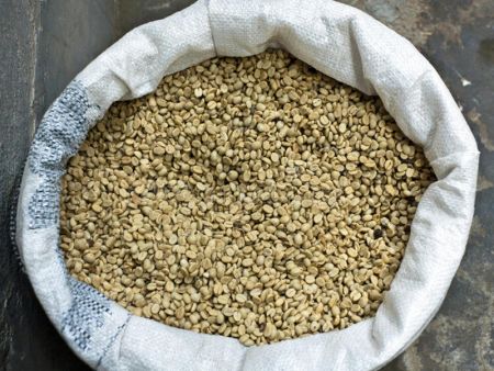 Granos de café verde empaquetados en sacos para venta al por mayor.