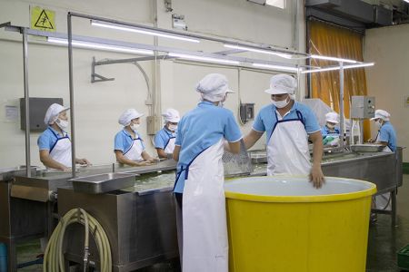 蘆薈產品生產流程 2