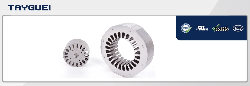 Pozitif deplasman için manyetik stator rotor, Dinamik motor