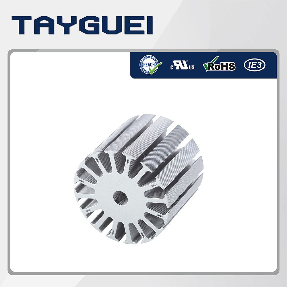 直流马达定子转子矽钢片