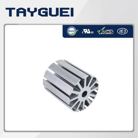 直流马达转子矽钢片 - 直流马达转子矽钢片