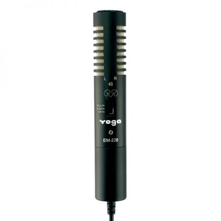 Microphone DSLR stereo