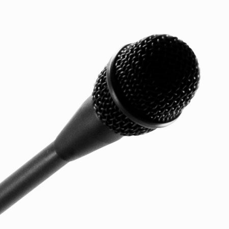 GM-22P gooseneck capsule