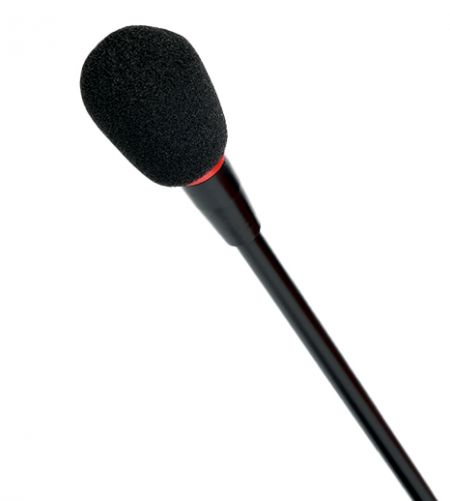 Gooseneck microphone w/o pop filter.