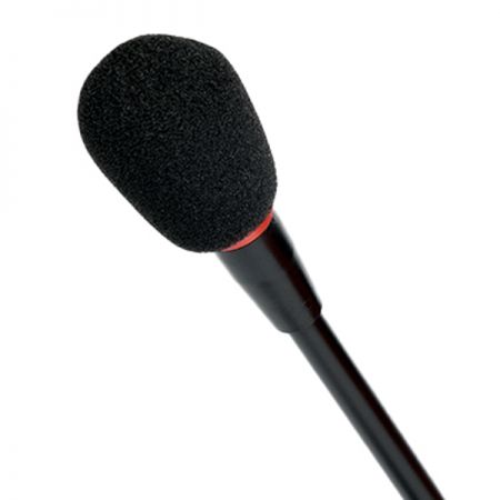 Gooseneck microphone w/o pop filter