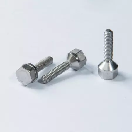 Custom Hex Head Screw - Custom Hex Head Screw