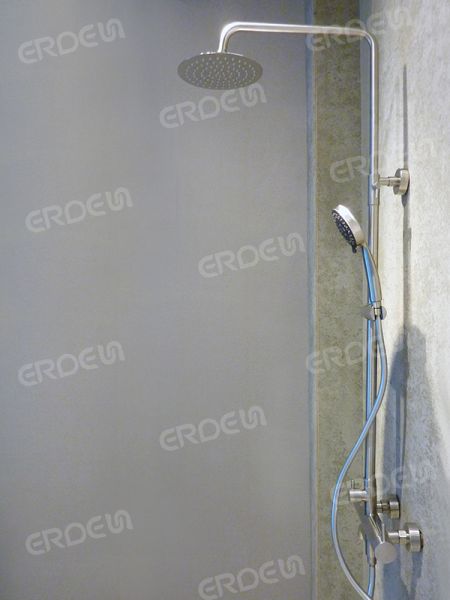 Barra deslizante de acero inoxidable con ducha de mano y cabezal de ducha de lluvia