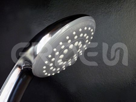 ERDEN Emission Style Hand Held Shower