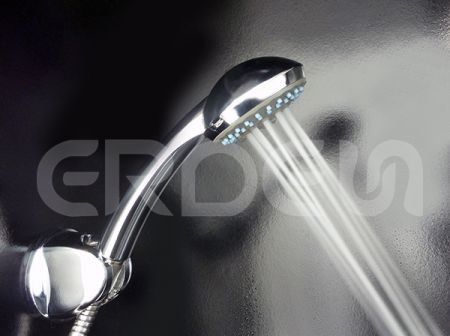 Hand Held Shower