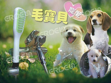 寵物氣泡梳子花灑組