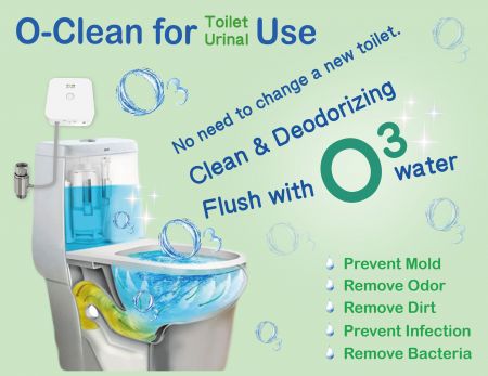 Ozone Bacterial Removal from Toilet