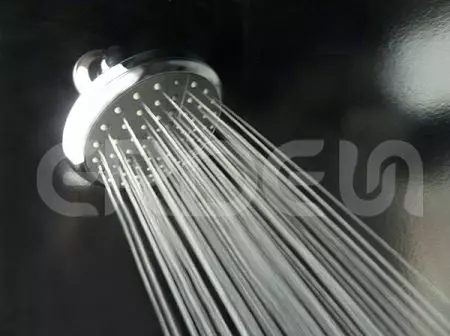 ERDEN 1 설정 샤워 헤드