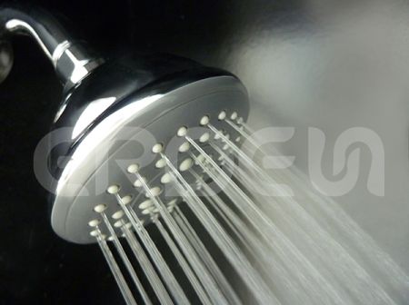 ERDEN Single Function Wall Shower