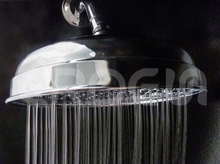 ERDEN Brass Single Function Round Rain Shower Head