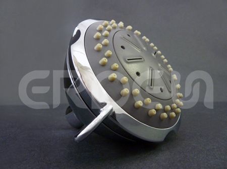 ERDEN 3 Function Shower Head