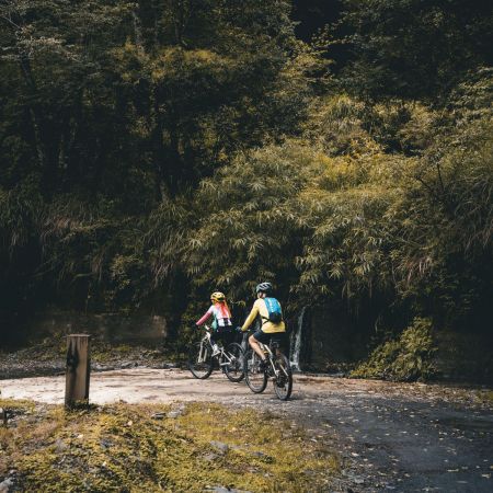 腳踏車步道安全