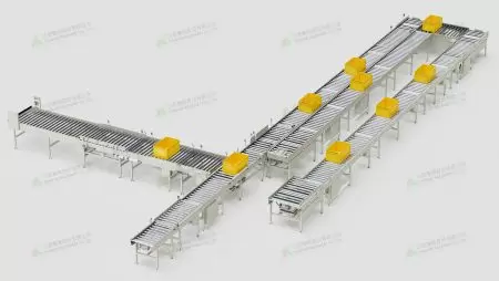 Linea di trasporto per scatole logistiche