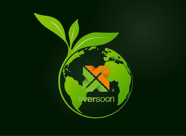 Tofu market, market on vegetarian, market on Plant based meats, vegetarian meat, Plant meat, intake protein, soybean food machine