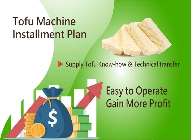 Rostlinný protein, zeleninový burger, tofu burger, masová náhrada, rostlinné maso, příjem bílkovin