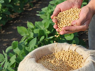 bainne sóidí neamhghmó