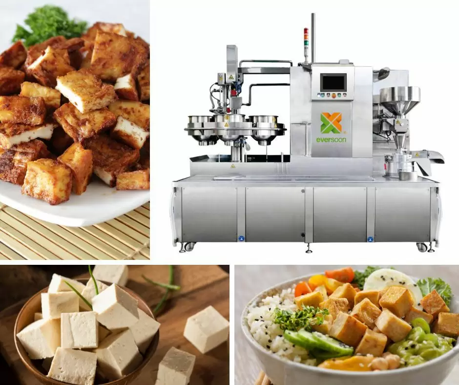 Automatic tofu making machine, Easy Tofu Maker, Fried Tofu Machine, Industrial tofu manufacturing, small tofu machine, Soy food equipment, soy meat machine, soy milk and tofu making machine, tofu equipment, tofu machine, makina ng tofu na binebenta, tagagawa ng makina ng tofu, tagagawa ng makina ng tofu, presyo ng makina ng tofu, kagamitan ng tofu, kagamitan at kagamitan ng tofu, tagagawa ng tofu, makina ng paggawa ng tofu, paggawa ng tofu, kagamitan sa paggawa ng tofu, makina ng paggawa ng tofu, presyo ng makina ng paggawa ng tofu, mga tagagawa ng tofu, Pagmamanupaktura ng tofu, kagamitan sa pagmamanupaktura ng tofu, planta ng pagmamanupaktura ng tofu, kagamitan sa produksyon ng tofu, linya ng produksyon ng tofu, presyo ng linya ng produksyon ng tofu, tagagawa ng tofu, awtomatikong makina ng tofu, Vegan Meat Machine, Vegan Meat Production Line, Makinarya at kagamitan sa gulay na tofu, komersyal na makina ng tofu, Awto-matikong makina ng soya gatas, Awto-matikong paggawa ng soya gatas, Madaling Tofu Maker, produksyon ng soya gatas, Makina ng Soya Drink, komersyal na makina ng soy milk at tofu, makina ng paggawa ng soy milk at tofu, Soy Milk Cooking Machine, makina ng soy milk, Soy milk machine gawa sa Taiwan, kagamitan at makina ng soy milk, tagagawa ng soy milk, makina ng paggawa ng soy milk, mga tagagawa ng soy milk, Produksyon ng gatas ng soya, kagamitan sa produksyon ng gatas ng soya, Linya ng Produksyon ng Gatas ng Soya, presyo ng makina sa paggawa ng gatas ng soya, makina sa pagproseso ng soya, makina ng soymilk, makina sa paggawa ng gatas ng soya at tofu, komersyal na tagagawa ng gatas ng soya, komersyal na makina ng gatas ng soya, komersyal na makina ng soymilk, komersyal na makina ng soya milk, Soybean milk boiler para sa pangangalakal, Soybean milk grinder para sa pangangalakal, Soybean milk machine para sa pangangalakal, mga makina ng soymilk para sa pangangalakal, kagamitan sa paggawa ng soya milk sa tindahan