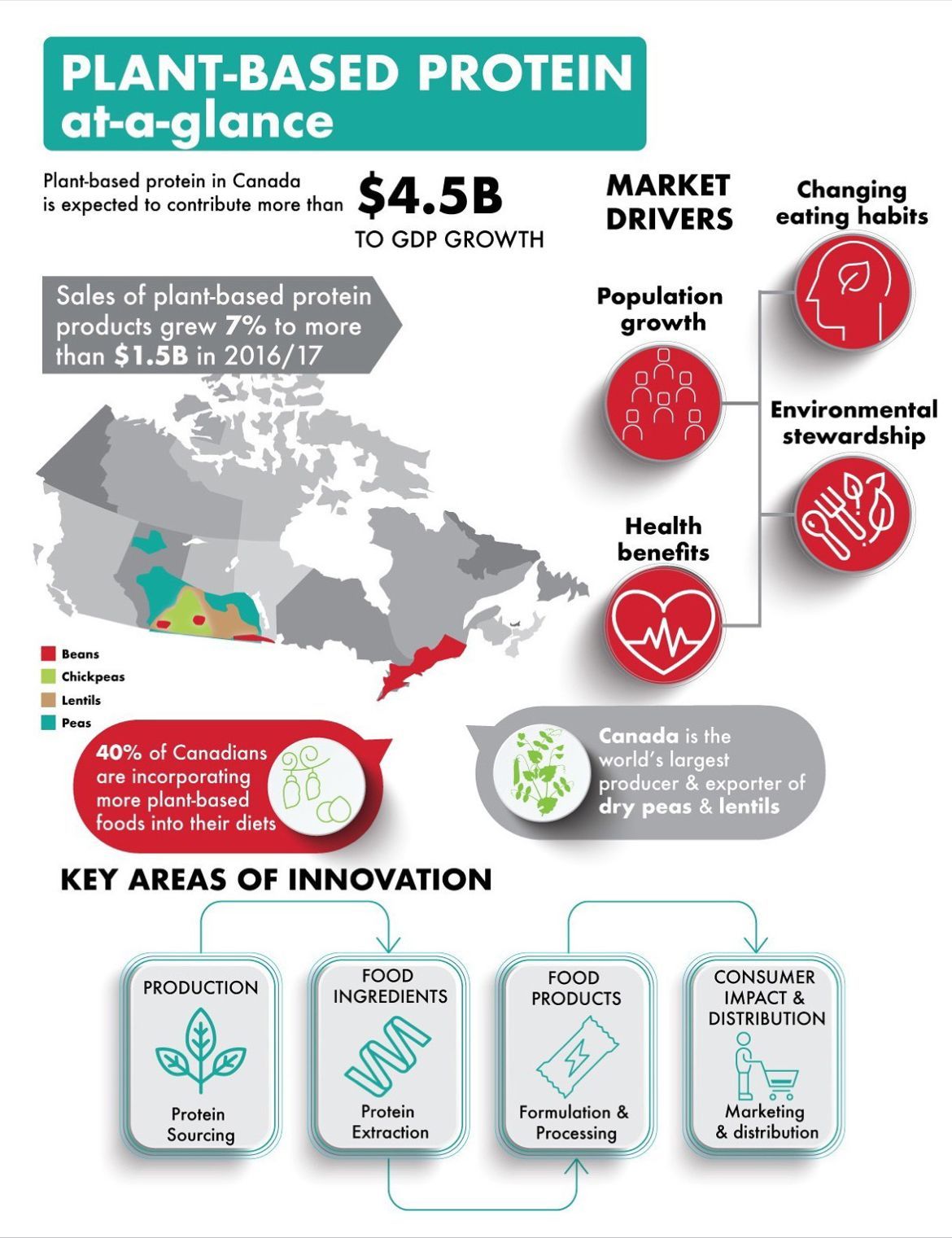 Sebze Protein, Vejetaryen Protein