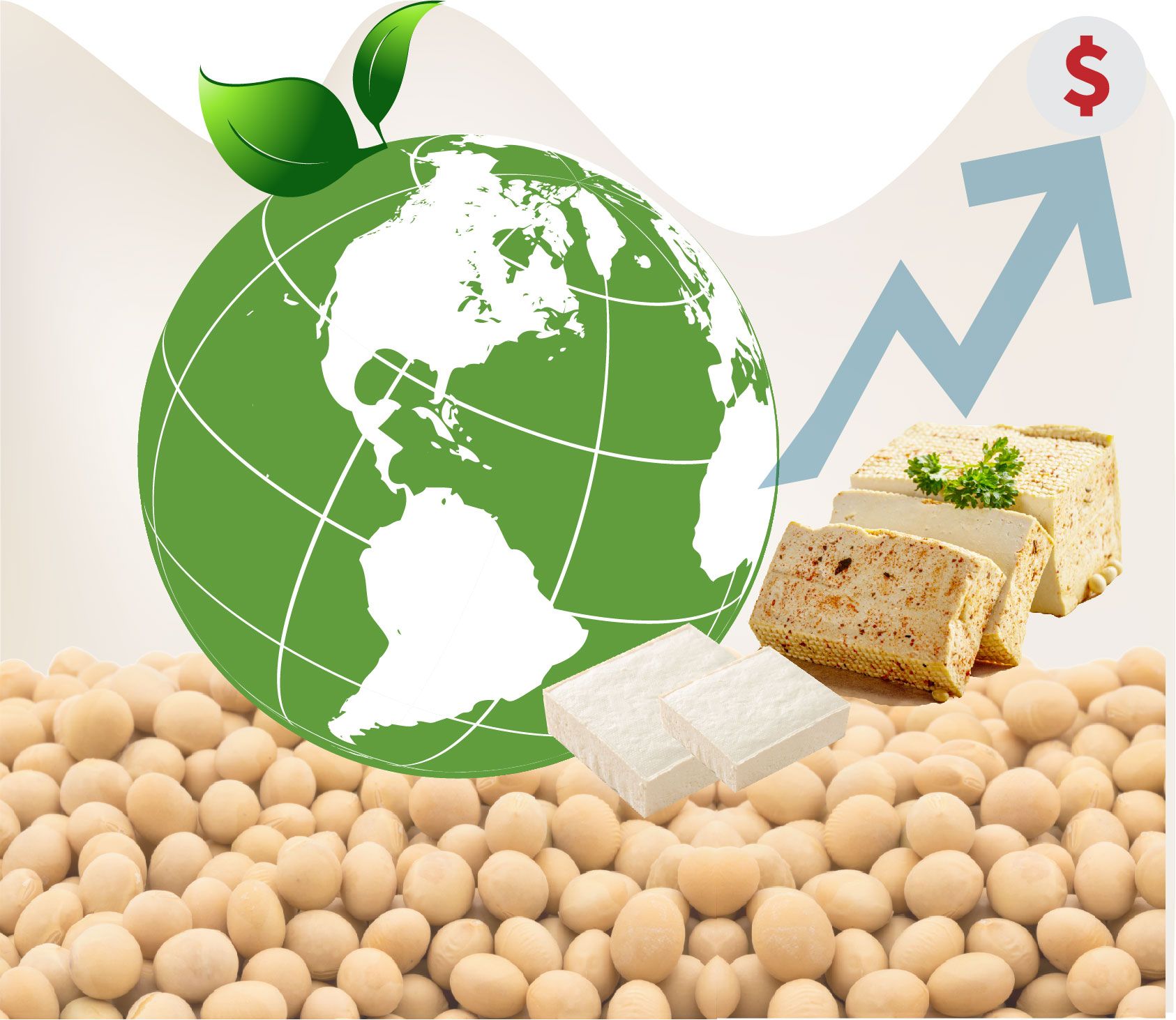 Tofu trg, vnos beljakovin, tovarna za proizvodnjo tofuja in sojinega mleka