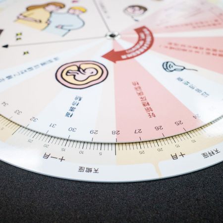 Raskauden pyörivä levy