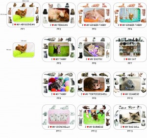 قاب عکس مغناطیسی