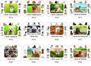 قاب عکس مغناطیسی