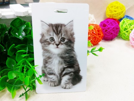 Label Koper Plastik 6 x 10cm