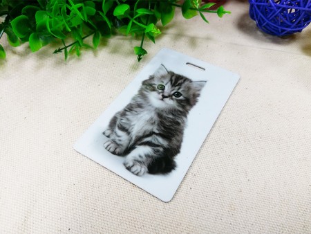 Label Koper Plastik 6 x 10cm