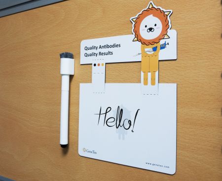 マグネットメモボード