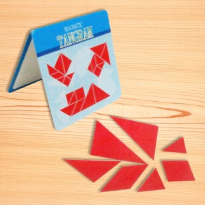 Gioco IQ magnetico MG-E01