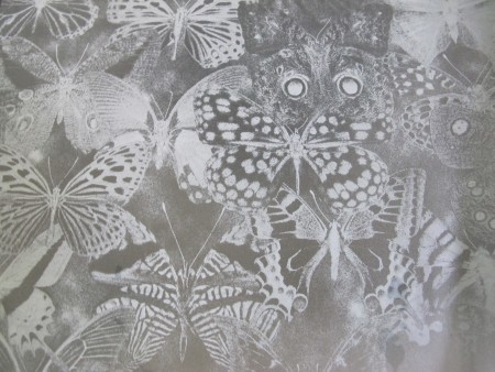 Filme Decorativo para Janelas (Borboleta - PVC) - Filme de Decoração de Borboleta