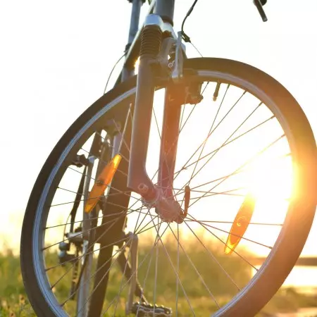 우리는 다양한 용도에 사용되는 쇼크 흡수기 실을 공급하고 있습니다.