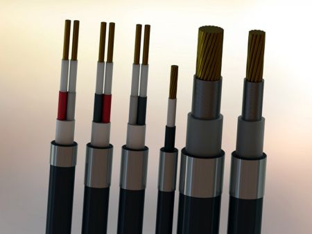 840℃ 耐燃電纜 (FR) CNS 11359 & 11174 - 工程及消防專用線材CNS 11359 & 11174