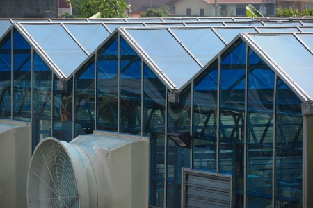 農業溫室建築
