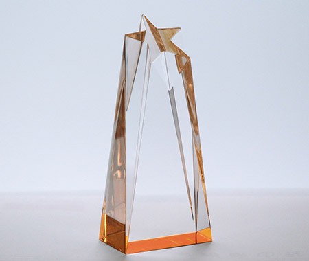 Trofeo in acrilico I